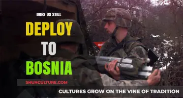 U.S. Military Presence in Bosnia: Current Deployment Status and Role