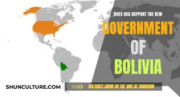 US Support for Bolivia's New Government: What's the Verdict?