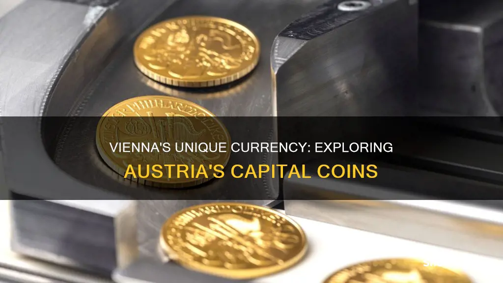 does vienna austria have their own coins