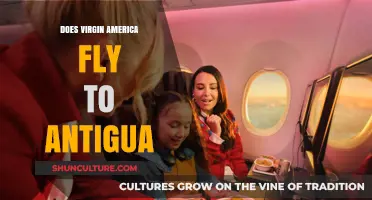 Virgin America Flights to Antigua: Routes, Availability, and Travel Options