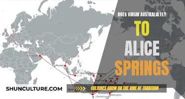 Virgin Australia's Alice Springs Flights: Where and How?