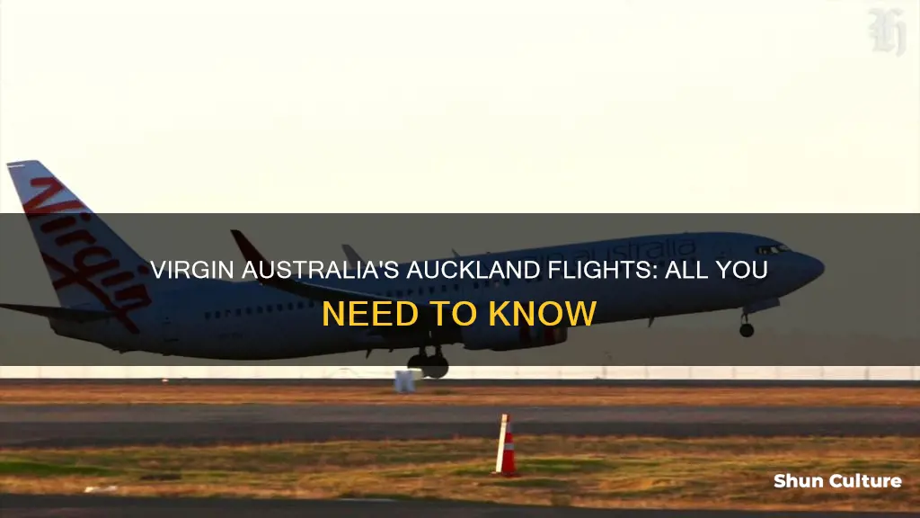 does virgin australia fly to auckland