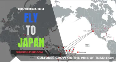 Virgin Australia's Japan Flights: Where and When?