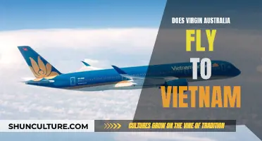 Virgin Australia's Vietnam Flights: Where and How Often?