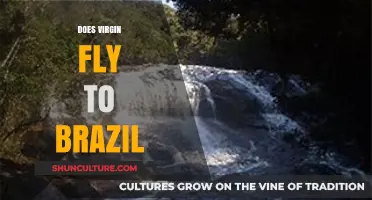 Does Virgin Atlantic Offer Flights to Brazil? A Travel Guide
