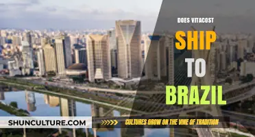 Does Vitacost Ship to Brazil? International Shipping Explained