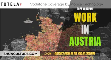 Vodafone in Austria: Does it Work?