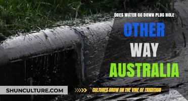 Does Water Swirl Differently Down Plug Holes in Australia?