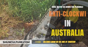 Does Water Really Swirl Counterclockwise Down Drains in Australia?