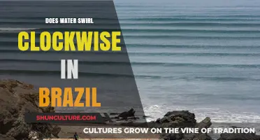 Does Water Swirl Clockwise in Brazil? Unraveling the Coriolis Myth