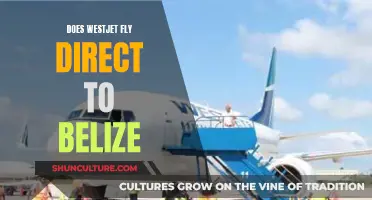 WestJet's Direct Flights to Belize: What You Need to Know