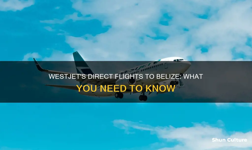 does westjet fly direct to belize