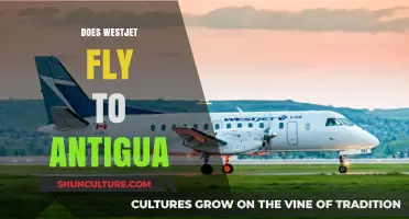 Does WestJet Fly to Antigua? Your Travel Guide and Tips