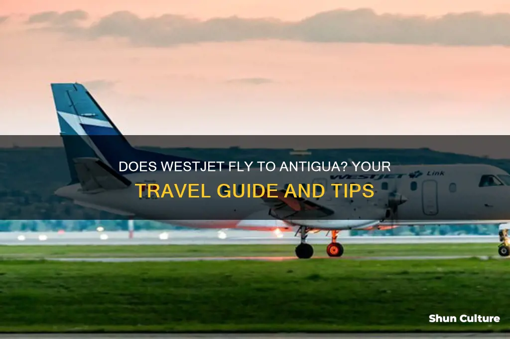 does westjet fly to antigua