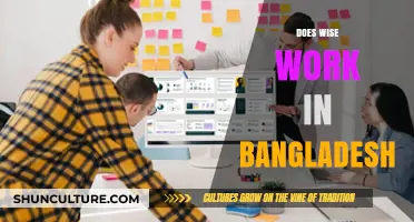Does Wise Work in Bangladesh? A Comprehensive Guide to Wise Services