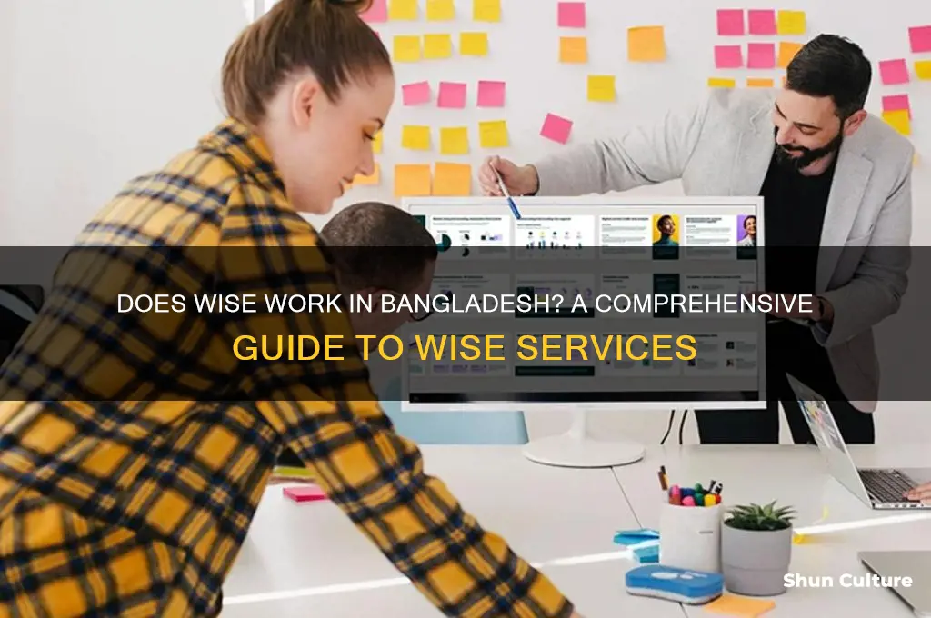 does wise work in bangladesh