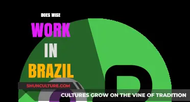 Does Wise Work in Brazil? A Comprehensive Guide for Users
