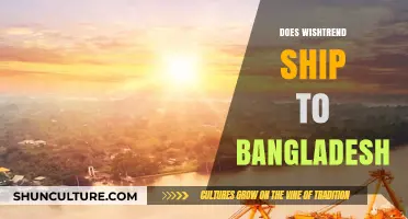 Wishtrend Shipping to Bangladesh: Availability, Costs, and Delivery Time