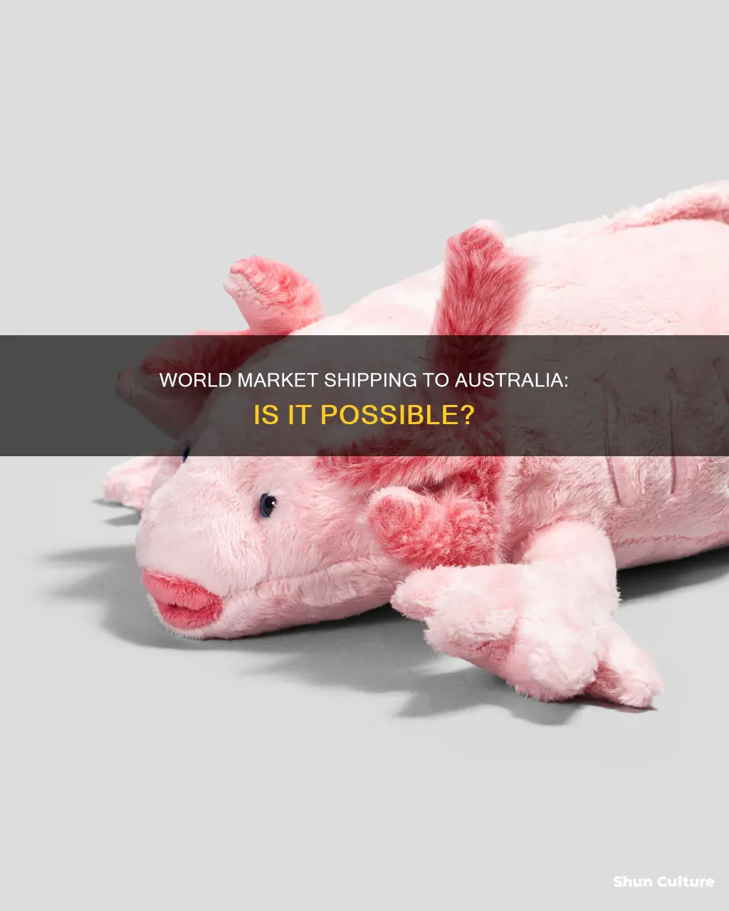 does world market ship to australia