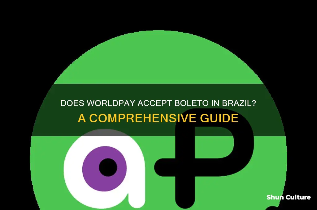 does worldpay accept beloto brazil