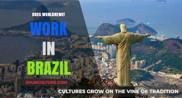 Does WorldRemit Work in Brazil? A Comprehensive Guide for Users