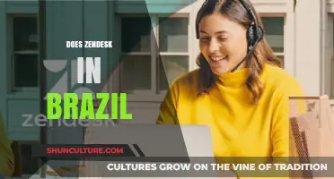 Zendesk in Brazil: Exploring Customer Service Solutions and Local Impact