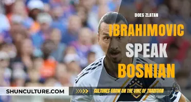 Does Zlatan Ibrahimovic Speak Bosnian? Unraveling the Language Mystery
