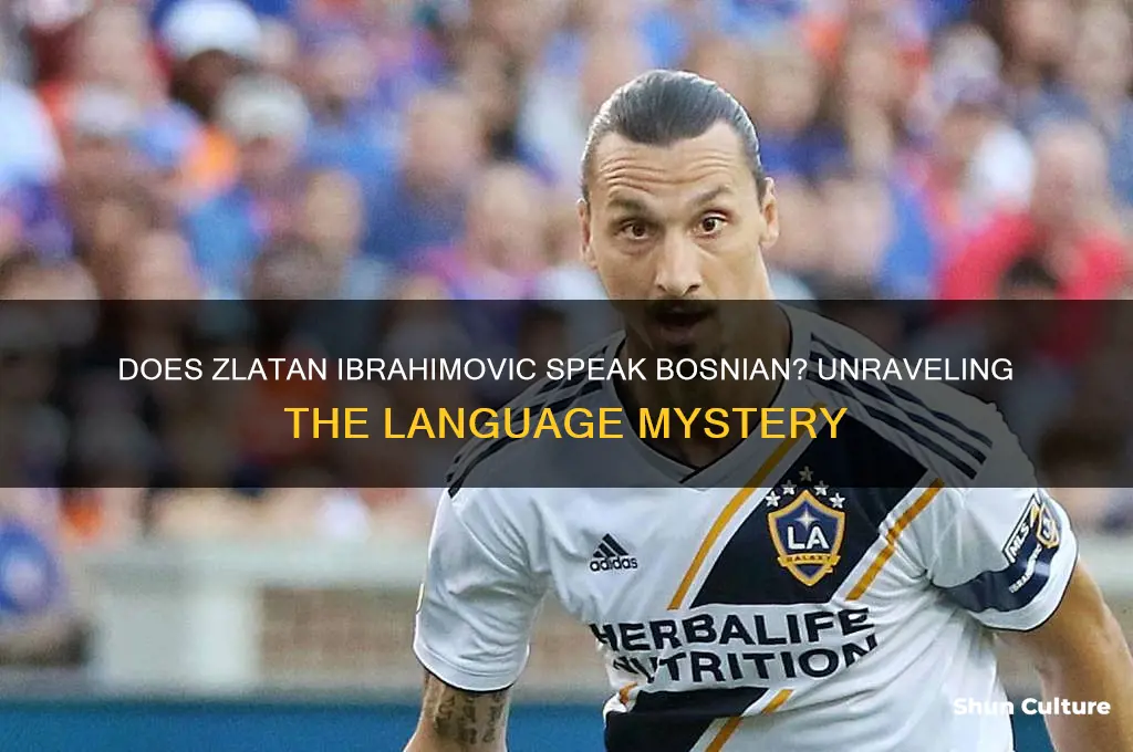 does zlatan ibrahimovic speak bosnian