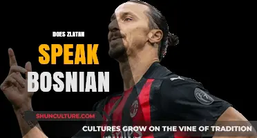 Does Zlatan Speak Bosnian? Unraveling the Language Skills of Ibrahimović