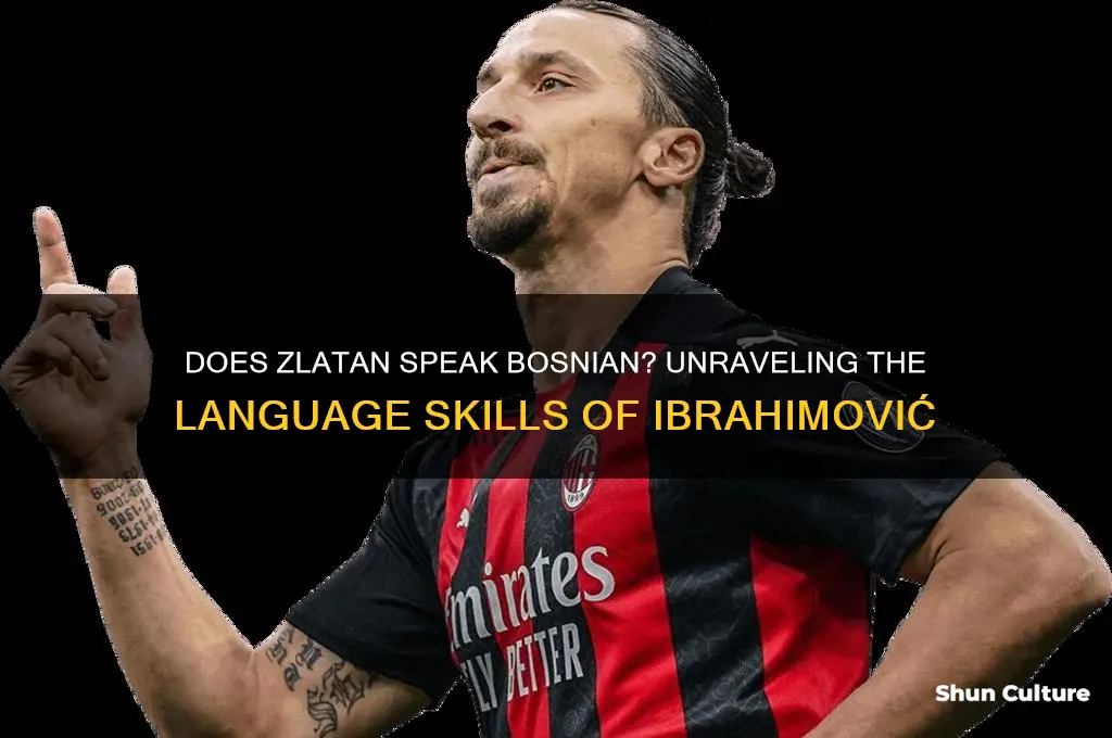 does zlatan speak bosnian