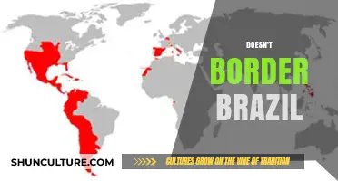 Surprising Countries That Don't Share a Border with Brazil