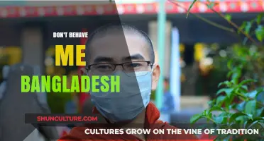 Don't Behave Me Bangladesh: Unveiling Cultural Misunderstandings and Respectful Interactions