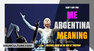 Understanding 'Don't Cry for Me Argentina': A Lyrical Journey