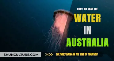 Australia's Waters: Hidden Dangers You Should Avoid at All Costs