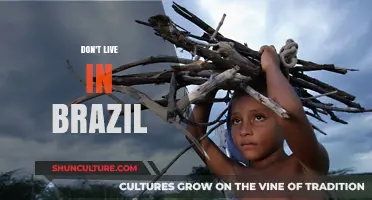 Why Living in Brazil Might Not Be Your Best Choice