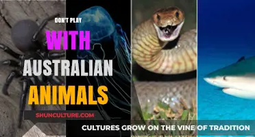 Australian Animals: Cute but Deadly