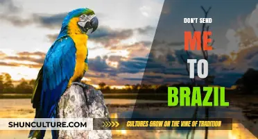 Don't Send Me to Brazil: A Plea Against Unwanted Relocation
