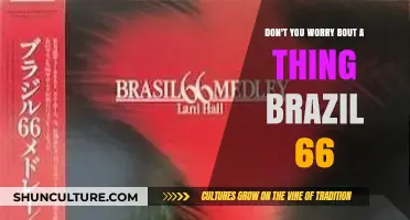 Don't You Worry 'Bout a Thing: Brazil 66's Timeless Groove