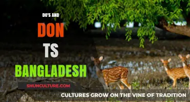 Traveling to Bangladesh: Essential Do's and Don'ts for a Smooth Journey