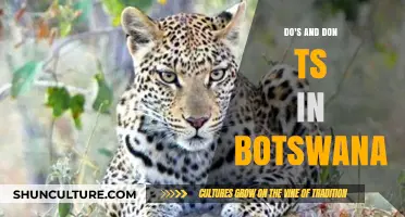 Exploring Botswana: Essential Do's and Don'ts for a Respectful Visit