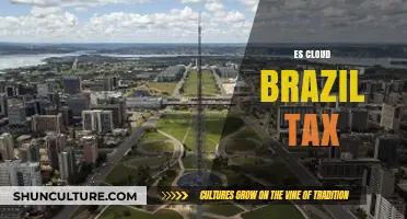 Navigating Brazil's ES Cloud Tax: Compliance and Cost Optimization Strategies