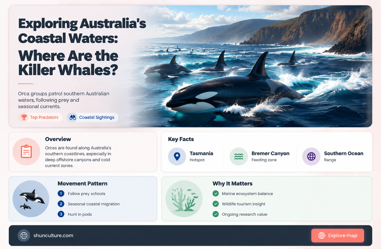 are killer whales found in australia