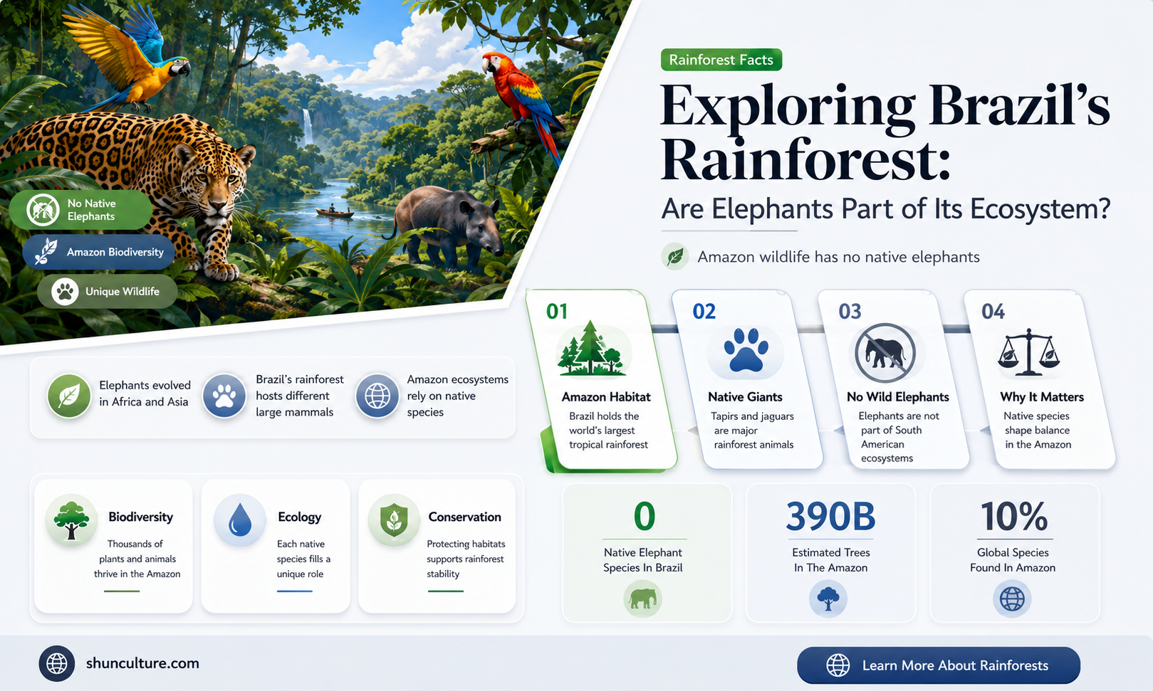 are elephants in rain forest in brazil