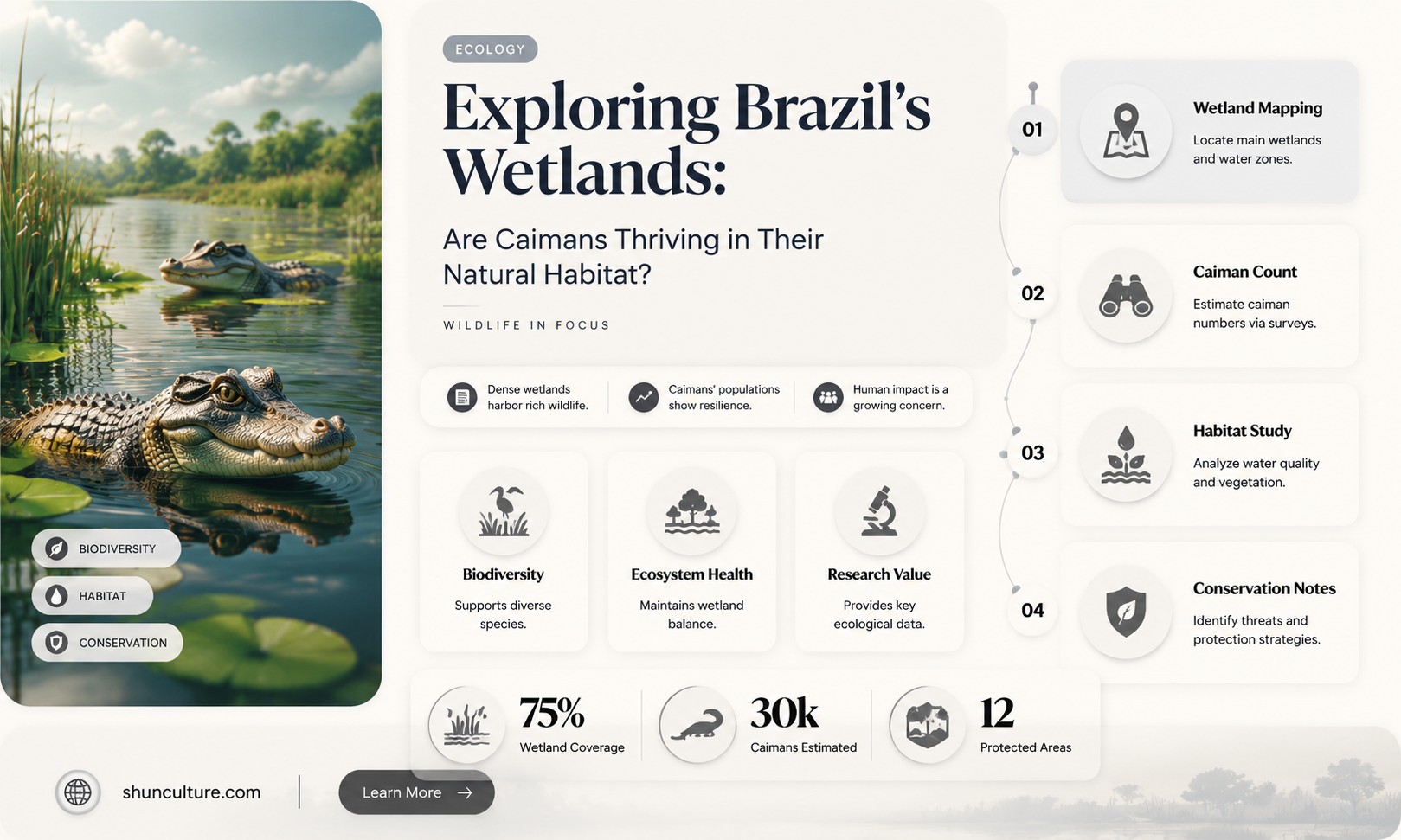 are caimans in brazil