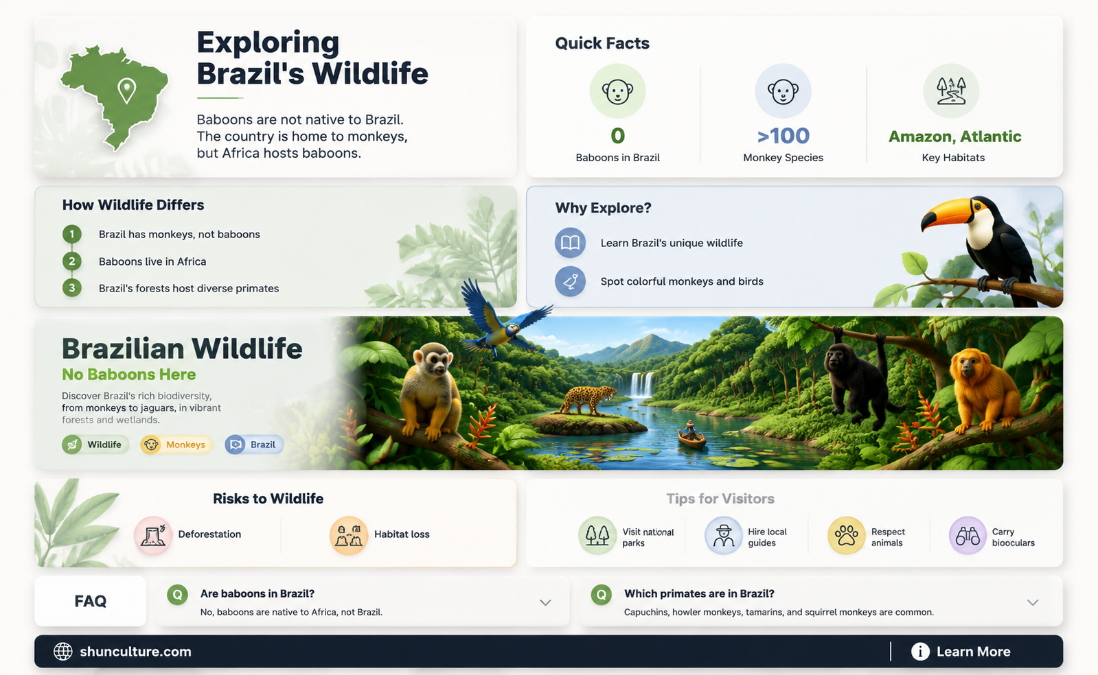 are baboons in brazil