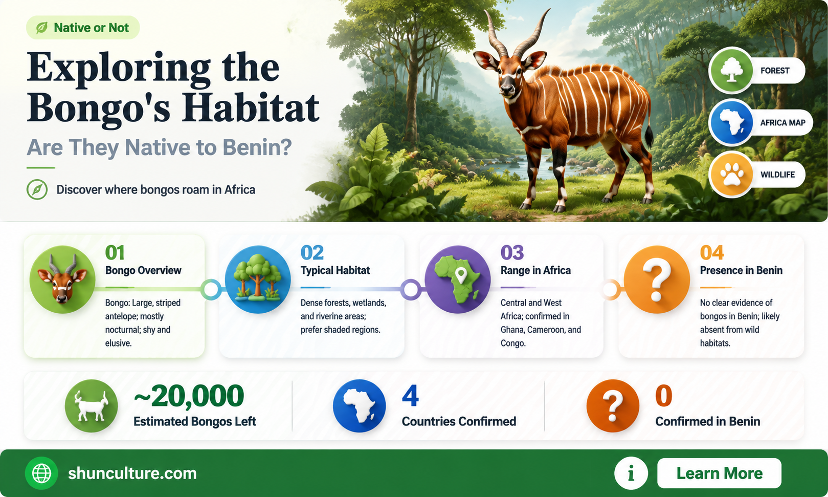 are bongos animals in benin