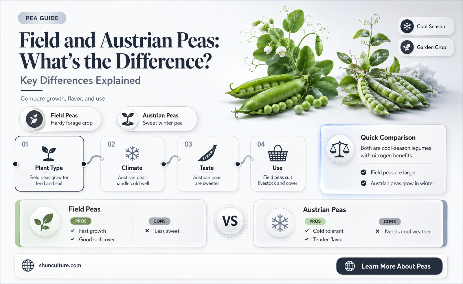 are field peas the same as austrian winter peas