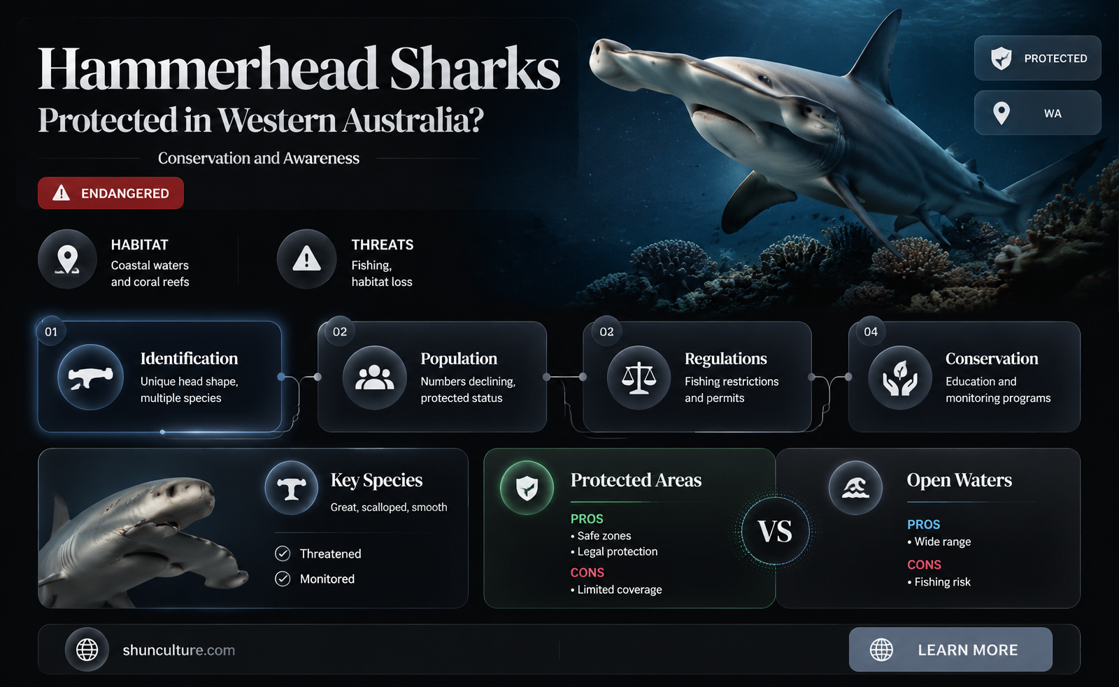 are hammerhead sharks protected in western australia