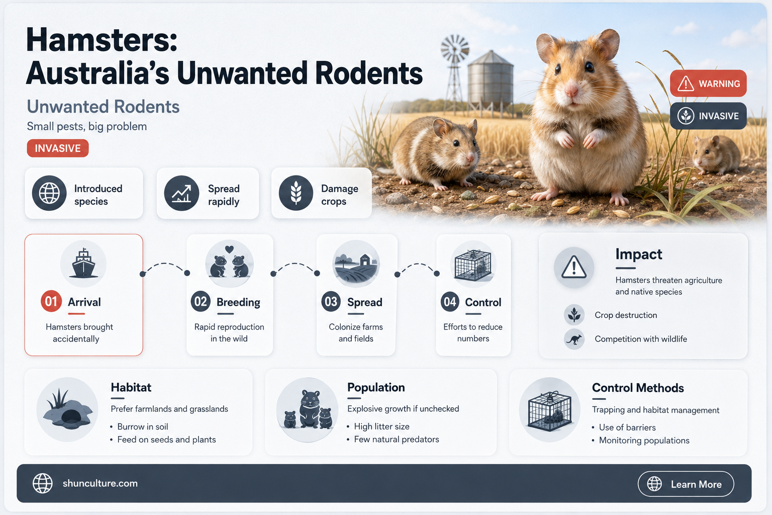 are hamsters banned in australia