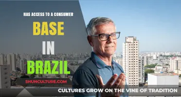 Unlocking Brazil's Consumer Market: Strategies for Global Business Expansion